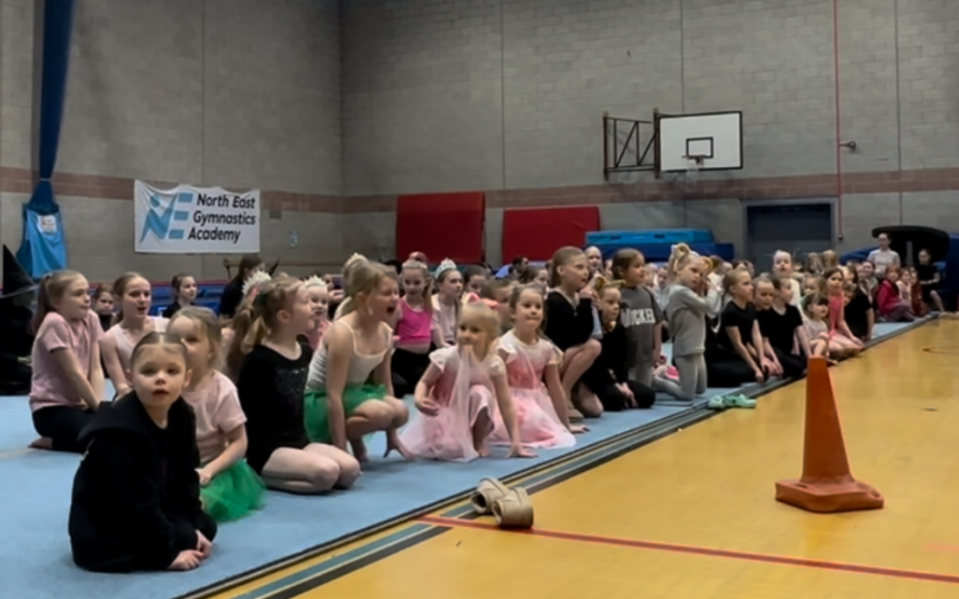 A Wickedly Wonderful Christmas Display to Remember at North East Gymnastics Academy – Christmas Displays 2025